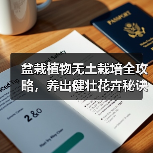 盆栽植物无土栽培全攻略，养出健壮花卉秘诀