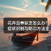 花卉营养缺乏怎么办？症状识别与防治方法全解析