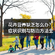 花卉营养缺乏怎么办?症状识别与防治方法全解析(图4) 花卉营养缺乏怎么办?症状识别与防治方法全解析(图4)