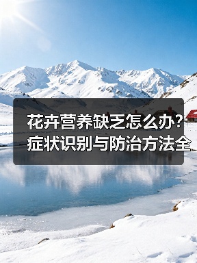 花卉营养缺乏怎么办?症状识别与防治方法全解析(图3) 花卉营养缺乏怎么办?症状识别与防治方法全解析(图3)