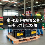 室内观叶植物怎么养？选择与养护全攻略