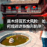 苗木经营五大风险：如何规避这些隐形陷阱？（图2）