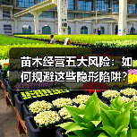苗木经营五大风险：如何规避这些隐形陷阱？（图1）