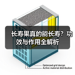 长寿果真的能长寿?功效与作用全解析(图4) 长寿果真的能长寿?功效与作用全解析(图4)
