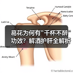 葛花为何有
