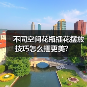 不同空间花瓶插花摆放技巧怎么摆更美？（图1）