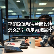 平阴玫瑰和法兰西玫瑰怎么选？药用vs观赏全解析（图3）