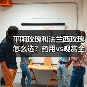 平阴玫瑰和法兰西玫瑰怎么选？药用vs观赏全解析（图4）