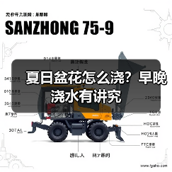 夏日盆花怎么浇？早晚浇水有讲究（图1）
