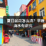 夏日盆花怎么浇？早晚浇水有讲究（图4）