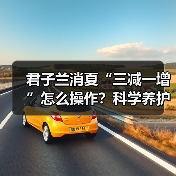 君子兰消夏“三减一增”怎么操作？科学养护防烂根（图3）