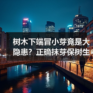 树木下端冒小芽竟是大隐患?正确抹芽保树生长(图1) 树木下端冒小芽竟是大隐患?正确抹芽保树生长(图1)