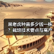 黑老虎种苗多少钱一株?栽培技术要点与高产技巧全解析(图3) 黑老虎种苗多少钱一株?栽培技术要点与高产技巧全解析(图3)
