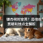 银杏何时变黄?最佳观赏期和地点全解析(图4) 银杏何时变黄?最佳观赏期和地点全解析(图4)