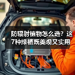 防辐射植物怎么选?这7种绿植既美观又实用(图2) 防辐射植物怎么选?这7种绿植既美观又实用(图2)