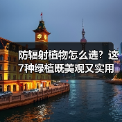 防辐射植物怎么选?这7种绿植既美观又实用(图3) 防辐射植物怎么选?这7种绿植既美观又实用(图3)