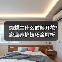 蝴蝶兰什么时候开花?家庭养护技巧全解析(图2) 蝴蝶兰什么时候开花?家庭养护技巧全解析(图2)
