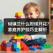 蝴蝶兰什么时候开花?家庭养护技巧全解析(图4) 蝴蝶兰什么时候开花?家庭养护技巧全解析(图4)