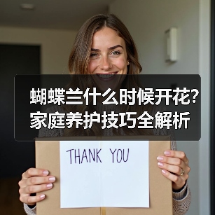 蝴蝶兰什么时候开花?家庭养护技巧全解析(图3) 蝴蝶兰什么时候开花?家庭养护技巧全解析(图3)