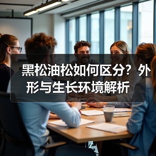 黑松油松如何区分?外形与生长环境解析(图1) 黑松油松如何区分?外形与生长环境解析(图1)