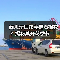 西班牙国花竟是石榴花?揭秘其开花季节(图2) 西班牙国花竟是石榴花?揭秘其开花季节(图2)