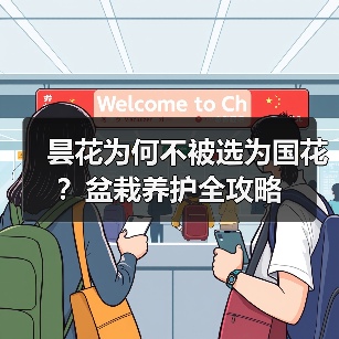 昙花为何不被选为国花?盆栽养护全攻略(图1) 昙花为何不被选为国花?盆栽养护全攻略(图1)