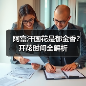 阿富汗国花是郁金香?开花时间全解析(图1) 阿富汗国花是郁金香?开花时间全解析(图1)