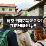 阿富汗国花是郁金香?开花时间全解析(图3) 阿富汗国花是郁金香?开花时间全解析(图3)
