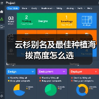 云杉别名及最佳种植海拔高度怎么选(图4) 云杉别名及最佳种植海拔高度怎么选(图4)