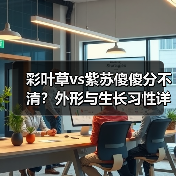 彩叶草vs紫苏傻傻分不清?外形与生长习性详细解析(图2) 彩叶草vs紫苏傻傻分不清?外形与生长习性详细解析(图2)