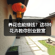 养花也能赚钱?这8种花卉教你创业致富(图1) 养花也能赚钱?这8种花卉教你创业致富(图1)