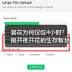 昙花为何仅绽4小时?揭开夜开花的生存智慧(图2) 昙花为何仅绽4小时?揭开夜开花的生存智慧(图2)