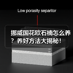挪威国花欧石楠怎么养?养好方法大揭秘!(图1) 挪威国花欧石楠怎么养?养好方法大揭秘!(图1)