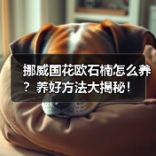 挪威国花欧石楠怎么养?养好方法大揭秘!(图2) 挪威国花欧石楠怎么养?养好方法大揭秘!(图2)