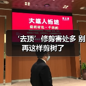 ‘去顶’修剪害处多 别再这样剪树了(图3) ‘去顶’修剪害处多 别再这样剪树了(图3)