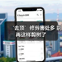 ‘去顶’修剪害处多 别再这样剪树了(图4) ‘去顶’修剪害处多 别再这样剪树了(图4)