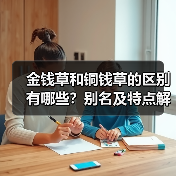 金钱草和铜钱草的区别有哪些?别名及特点解析(图1) 金钱草和铜钱草的区别有哪些?别名及特点解析(图1)