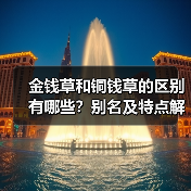 金钱草和铜钱草的区别有哪些?别名及特点解析(图4) 金钱草和铜钱草的区别有哪些?别名及特点解析(图4)