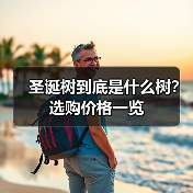 圣诞树到底是什么树？选购价格一览（图2）