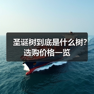 圣诞树到底是什么树？选购价格一览（图4）