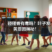 碰碰香有毒吗?叶子发黄原因揭秘!(图2) 碰碰香有毒吗?叶子发黄原因揭秘!(图2)
