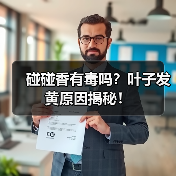 碰碰香有毒吗?叶子发黄原因揭秘!(图3) 碰碰香有毒吗?叶子发黄原因揭秘!(图3)