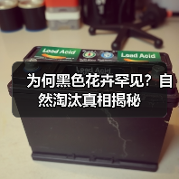 为何黑色花卉罕见?自然淘汰真相揭秘(图3) 为何黑色花卉罕见?自然淘汰真相揭秘(图3)