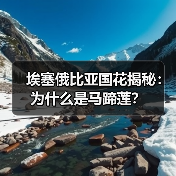 埃塞俄比亚国花揭秘:为什么是马蹄莲?(图2) 埃塞俄比亚国花揭秘:为什么是马蹄莲?(图2)