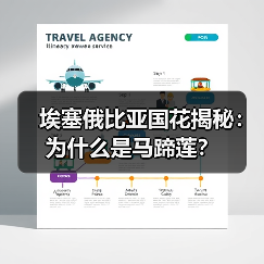 埃塞俄比亚国花揭秘:为什么是马蹄莲?(图3) 埃塞俄比亚国花揭秘:为什么是马蹄莲?(图3)