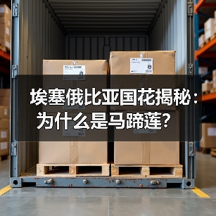 埃塞俄比亚国花揭秘:为什么是马蹄莲?(图1) 埃塞俄比亚国花揭秘:为什么是马蹄莲?(图1)