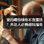 室内哪些植物不宜摆放?养花人必看避坑指南(图3) 室内哪些植物不宜摆放?养花人必看避坑指南(图3)