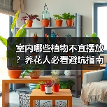 室内哪些植物不宜摆放?养花人必看避坑指南(图4) 室内哪些植物不宜摆放?养花人必看避坑指南(图4)