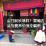 山竹树长啥样?繁殖方法与营养价值全解析(图2) 山竹树长啥样?繁殖方法与营养价值全解析(图2)