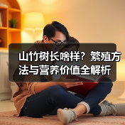 山竹树长啥样?繁殖方法与营养价值全解析(图3) 山竹树长啥样?繁殖方法与营养价值全解析(图3)
